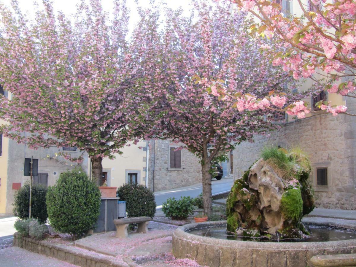 דירות Vivo dʼOrcia Casa Giuly מראה חיצוני תמונה
